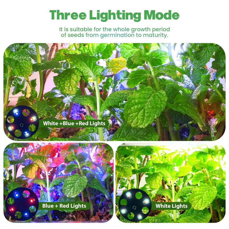 Adawook Seed Starter Trays with Grow Lights  72 Cells Seed Starter Kit with Lights  3 Lighting Mode  4 Timing Set  Germination Kit for Seed Starting Trays  Seedling Starter with High Humidity Control Domes - Image 2